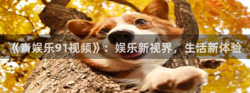 双赢平台下载