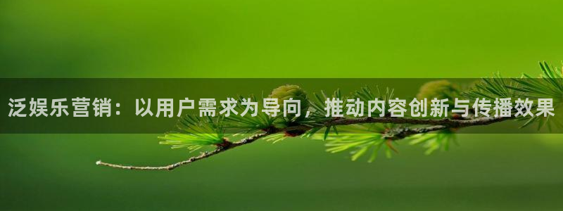 辉达平台注册